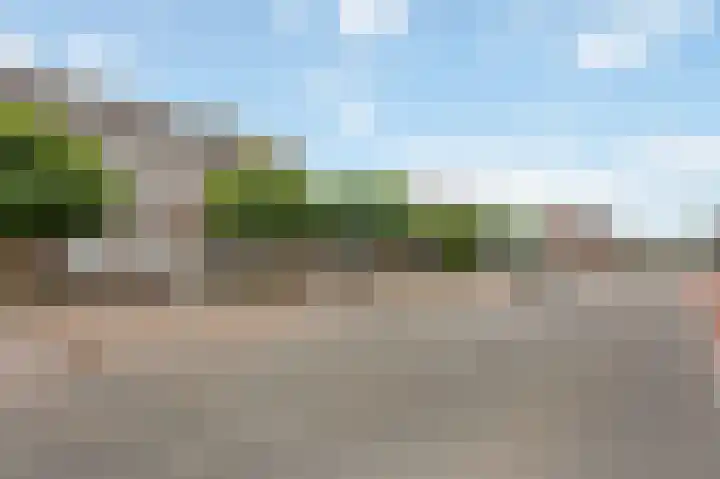 Bosstraat 46 Echt thumbnail 5