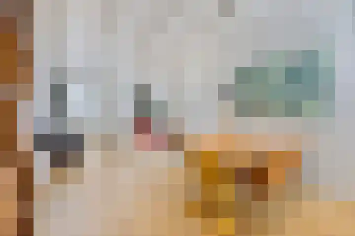Bosstraat 46 Echt thumbnail 8