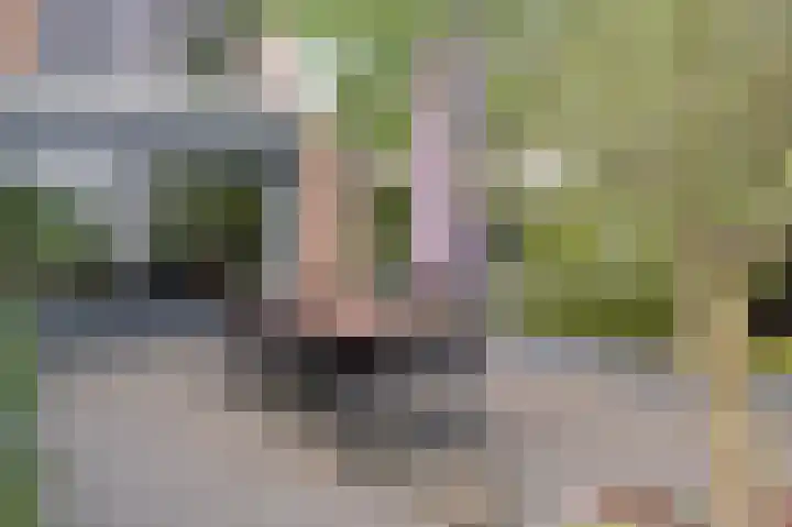 Bosstraat 48 Assen thumbnail 38