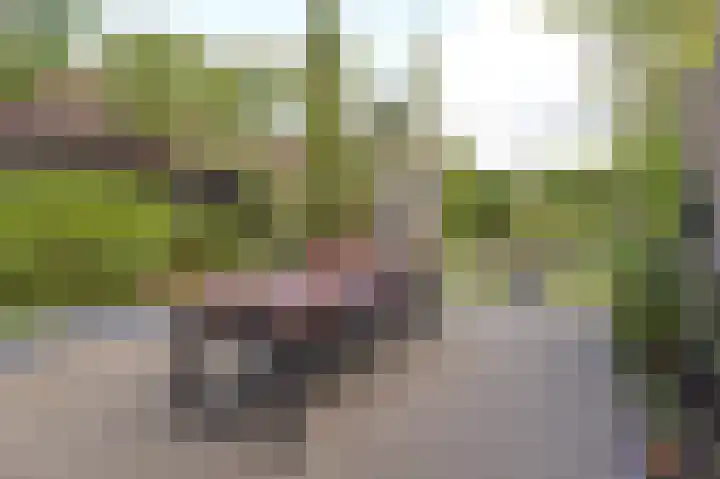 Bosstraat 48 Assen thumbnail 39