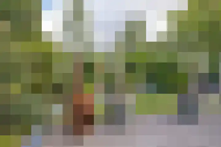 Bosstraat 48 Assen thumbnail 41