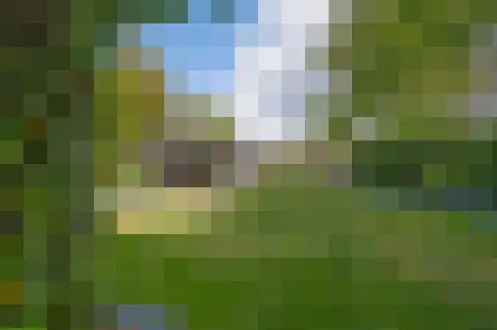 Bosstraat 48 Assen thumbnail 45