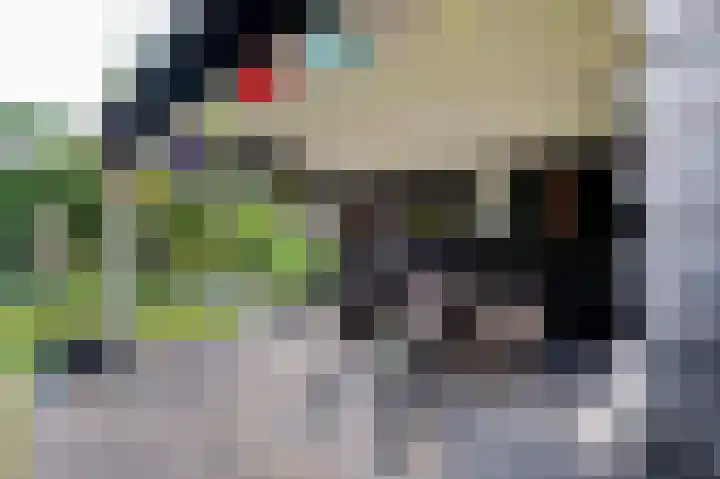 Bosstraat 48 Assen thumbnail 47