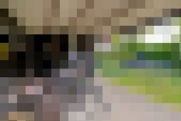 Bosstraat 48 Assen thumbnail 48