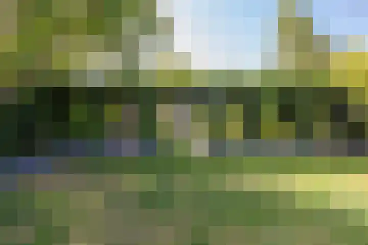 Bosstraat 48 Assen thumbnail 51