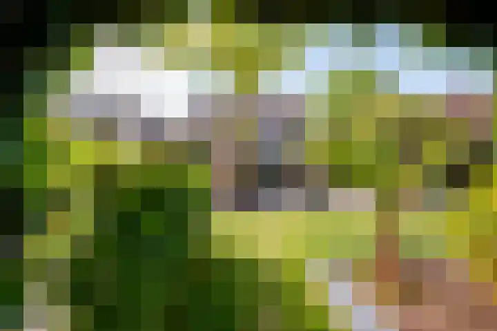 Bosstraat 48 Assen thumbnail 52