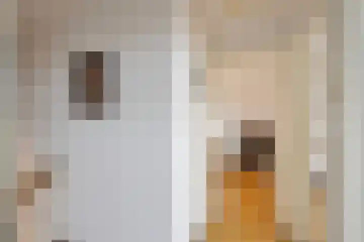 Bosstraat 66 Swalmen thumbnail 26