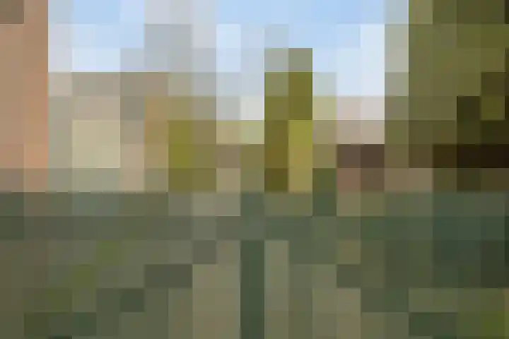 Bosstraat 66 Swalmen thumbnail 41
