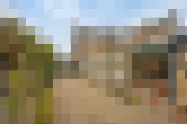 Bosstraat 66 Swalmen thumbnail 45