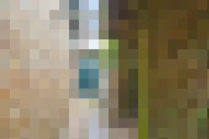 Bosstraat 66 Swalmen thumbnail 48