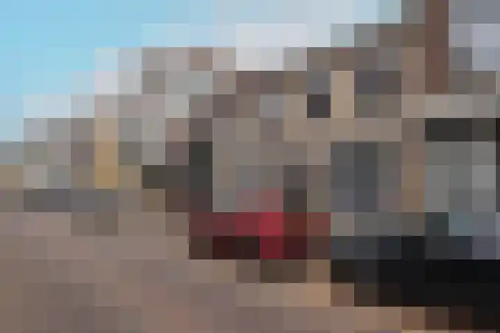 Bosstraat 7 Moergestel thumbnail 17