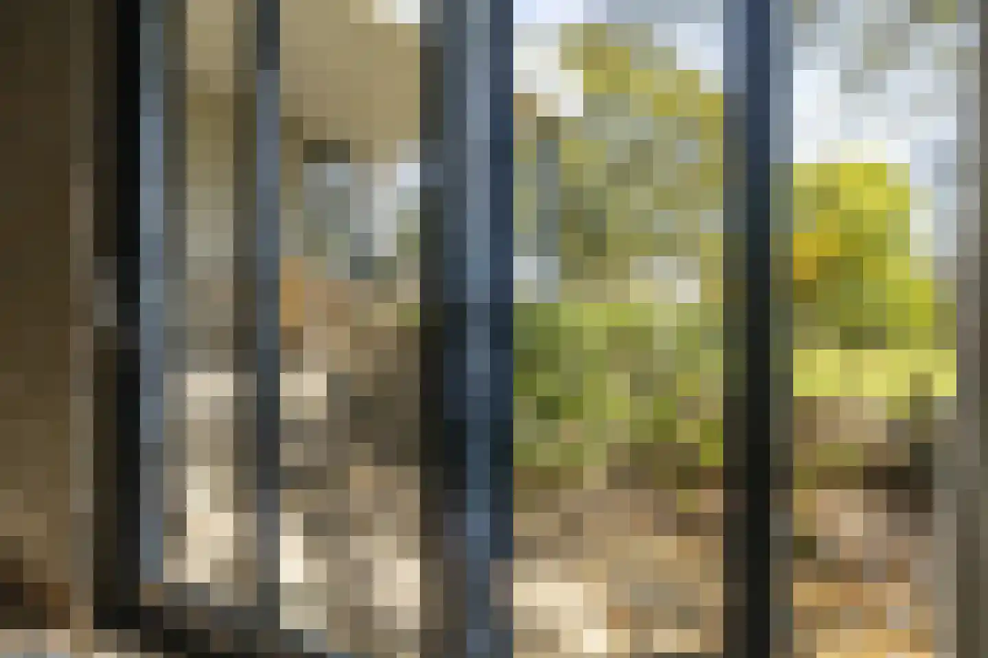 Bosstraat 7 Moergestel thumbnail 19