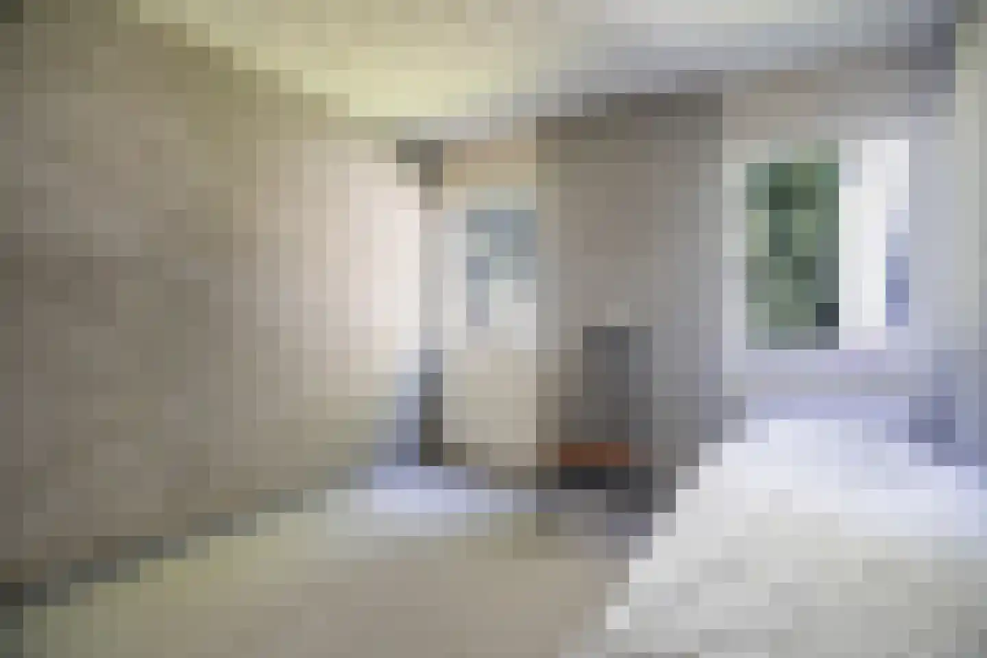 Bosstraat 7 Moergestel thumbnail 24