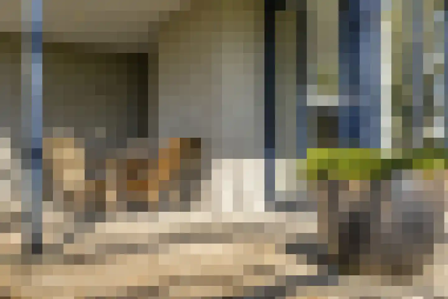 Bosstraat 7 Moergestel thumbnail 29