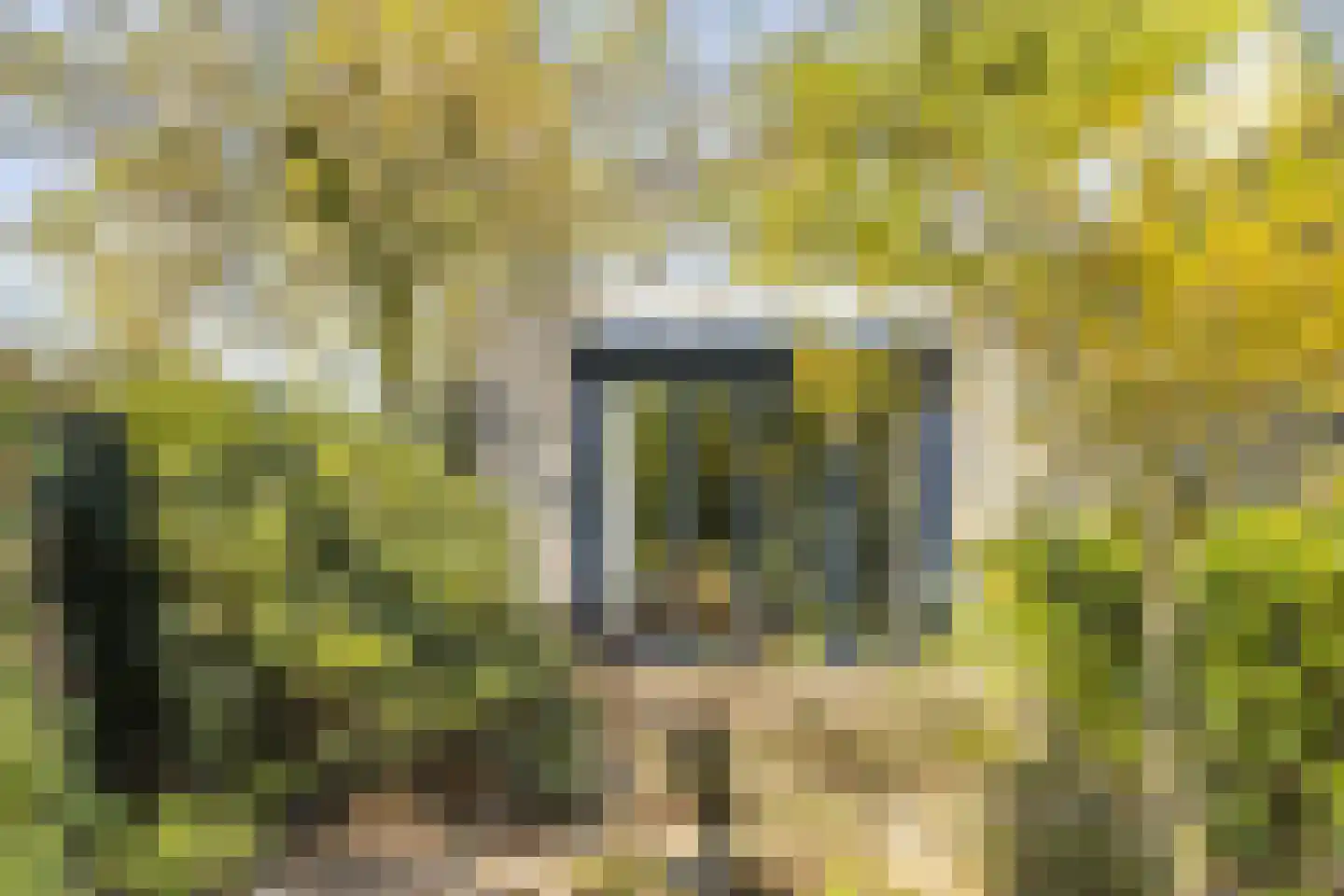 Bosstraat 7 Moergestel thumbnail 30