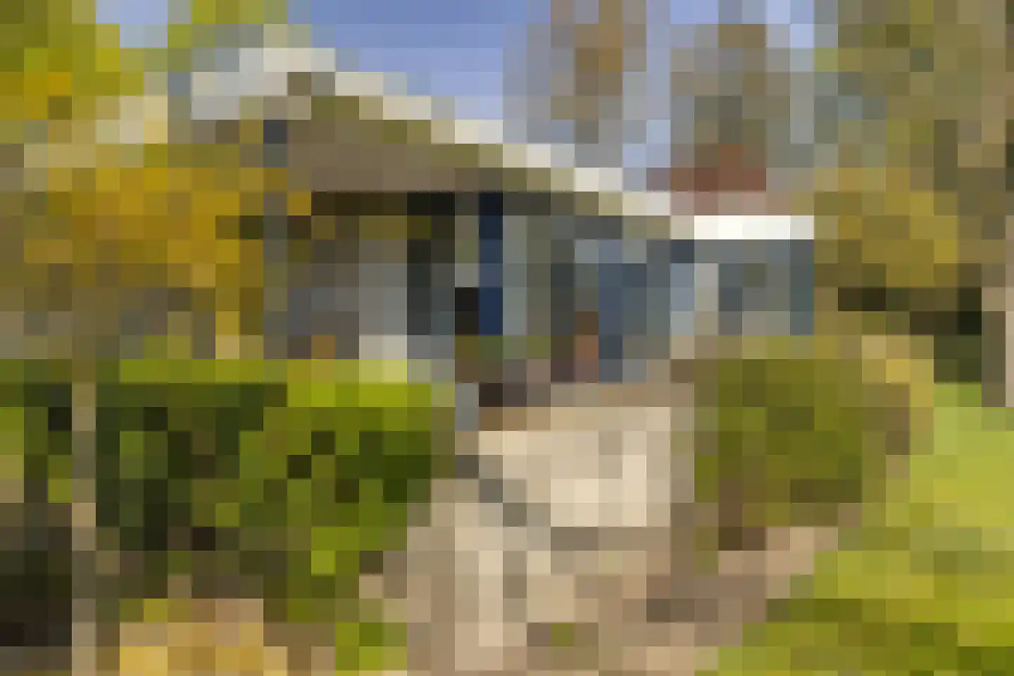 Bosstraat 7 Moergestel thumbnail 31