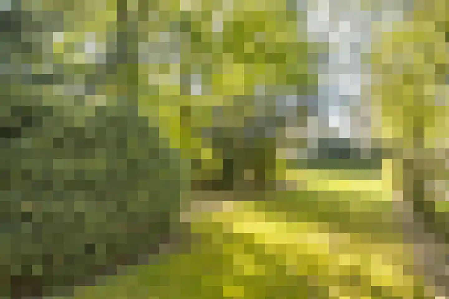 Bosstraat 7 Moergestel thumbnail 32