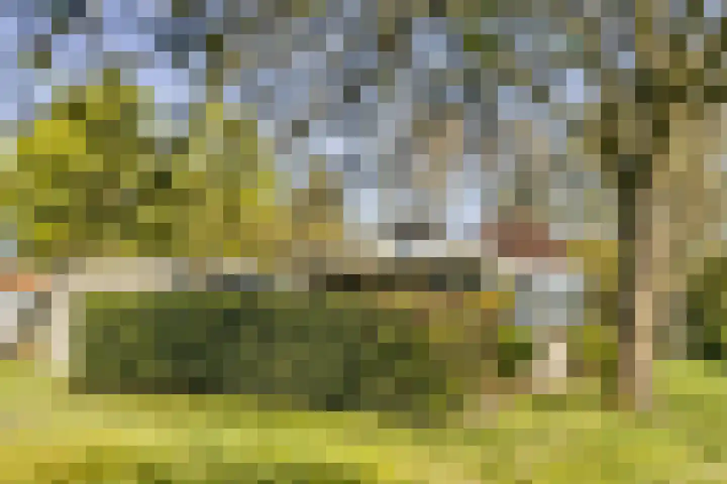 Bosstraat 7 Moergestel thumbnail 33