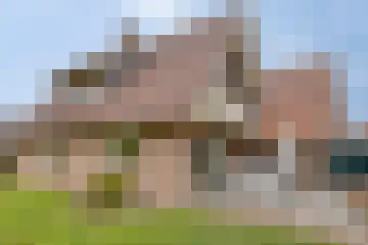 Bosstraat 7 Moergestel thumbnail 34