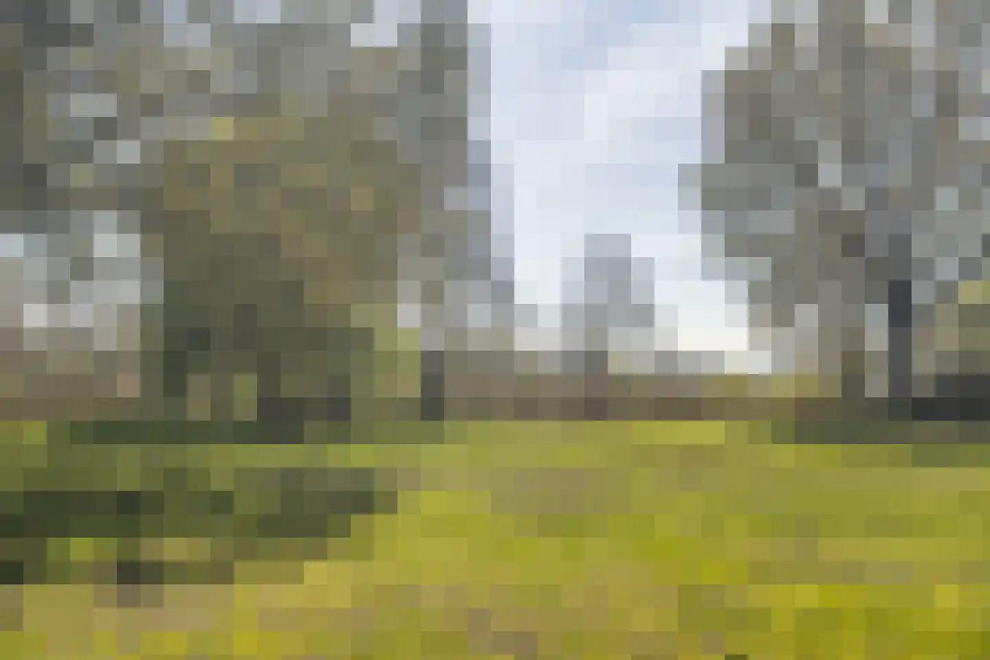 Bosstraat 7 Moergestel thumbnail 35