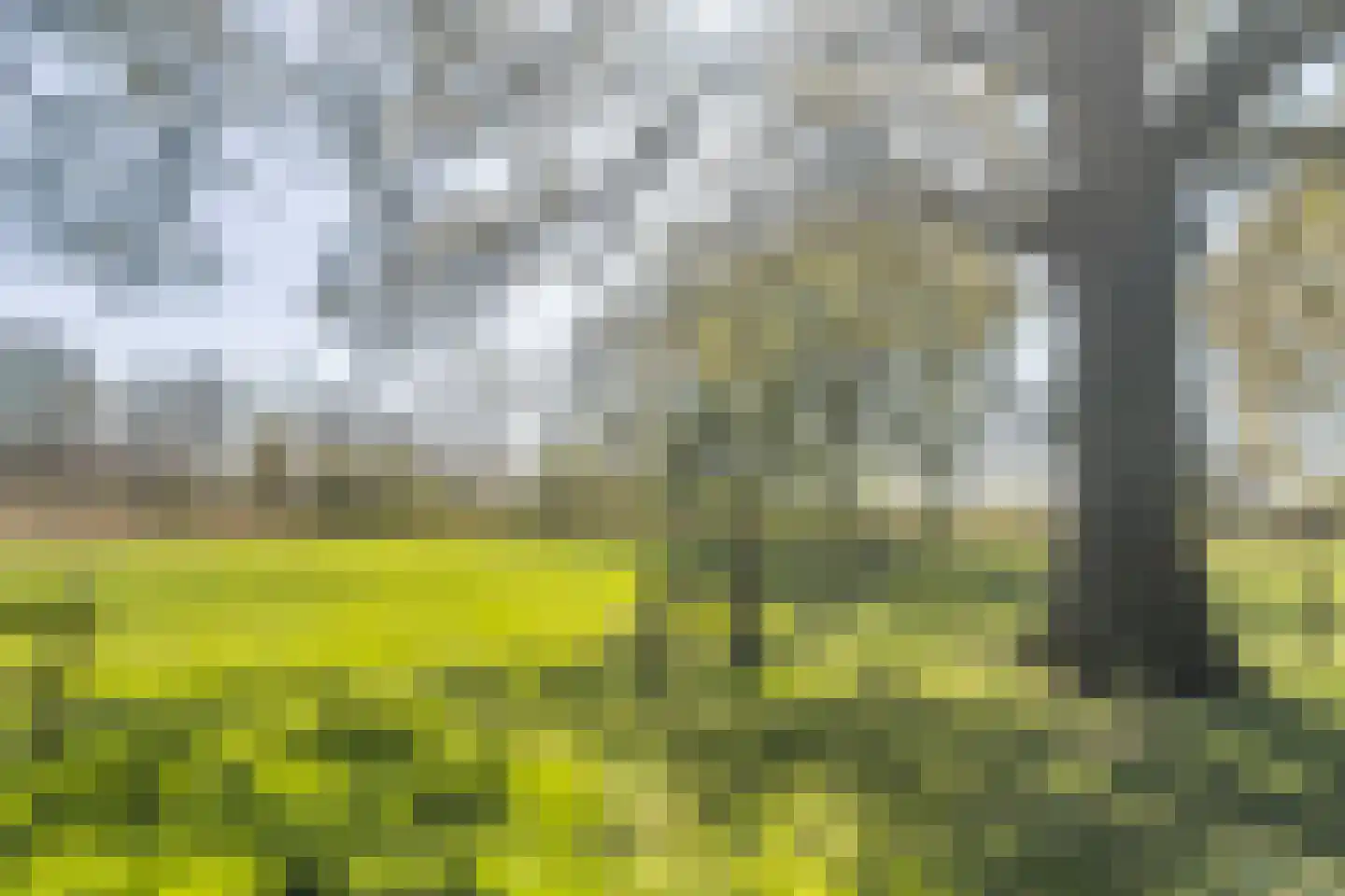 Bosstraat 7 Moergestel thumbnail 36