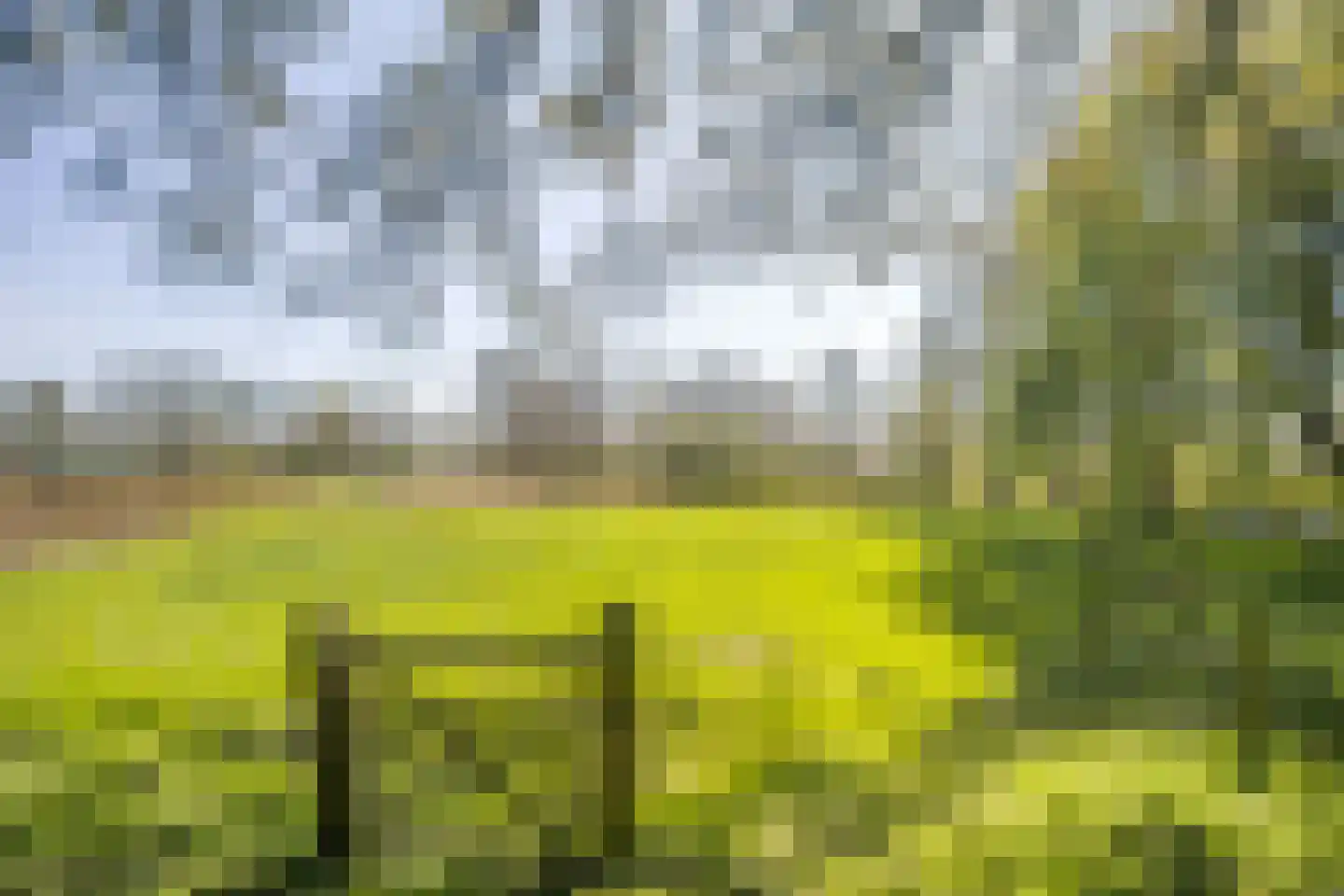 Bosstraat 7 Moergestel thumbnail 37