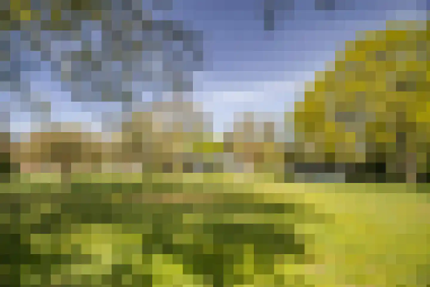 Bosstraat 7 Moergestel thumbnail 38