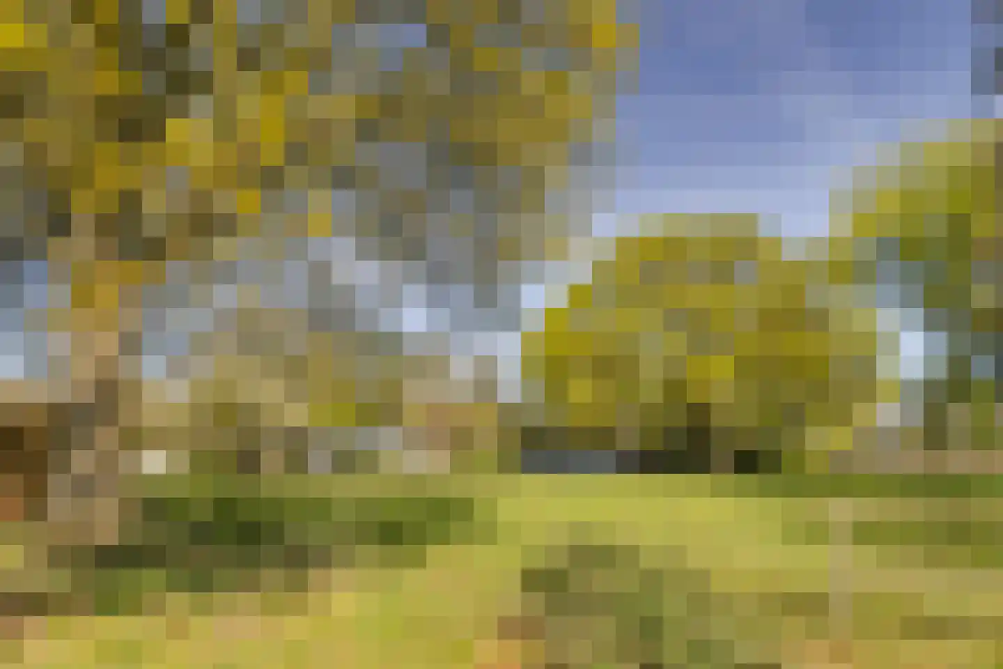 Bosstraat 7 Moergestel thumbnail 39