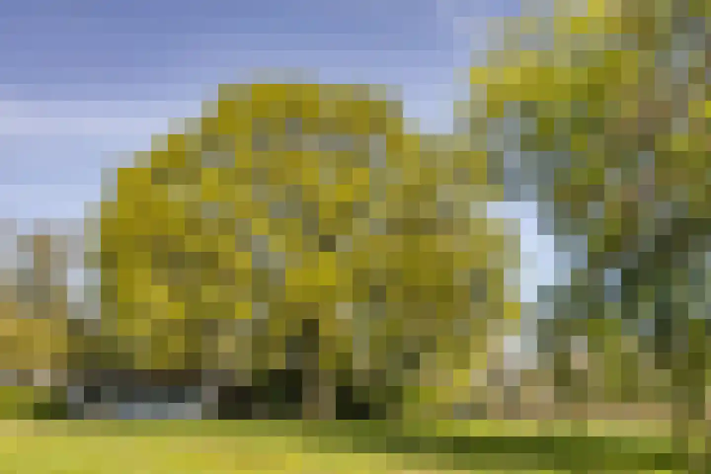 Bosstraat 7 Moergestel thumbnail 40