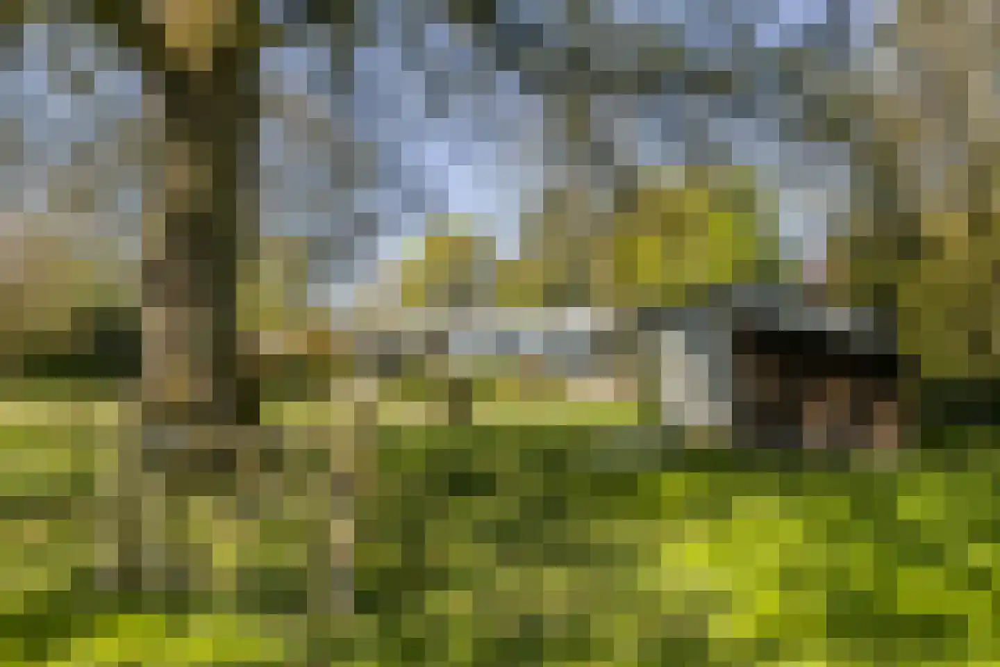 Bosstraat 7 Moergestel thumbnail 41