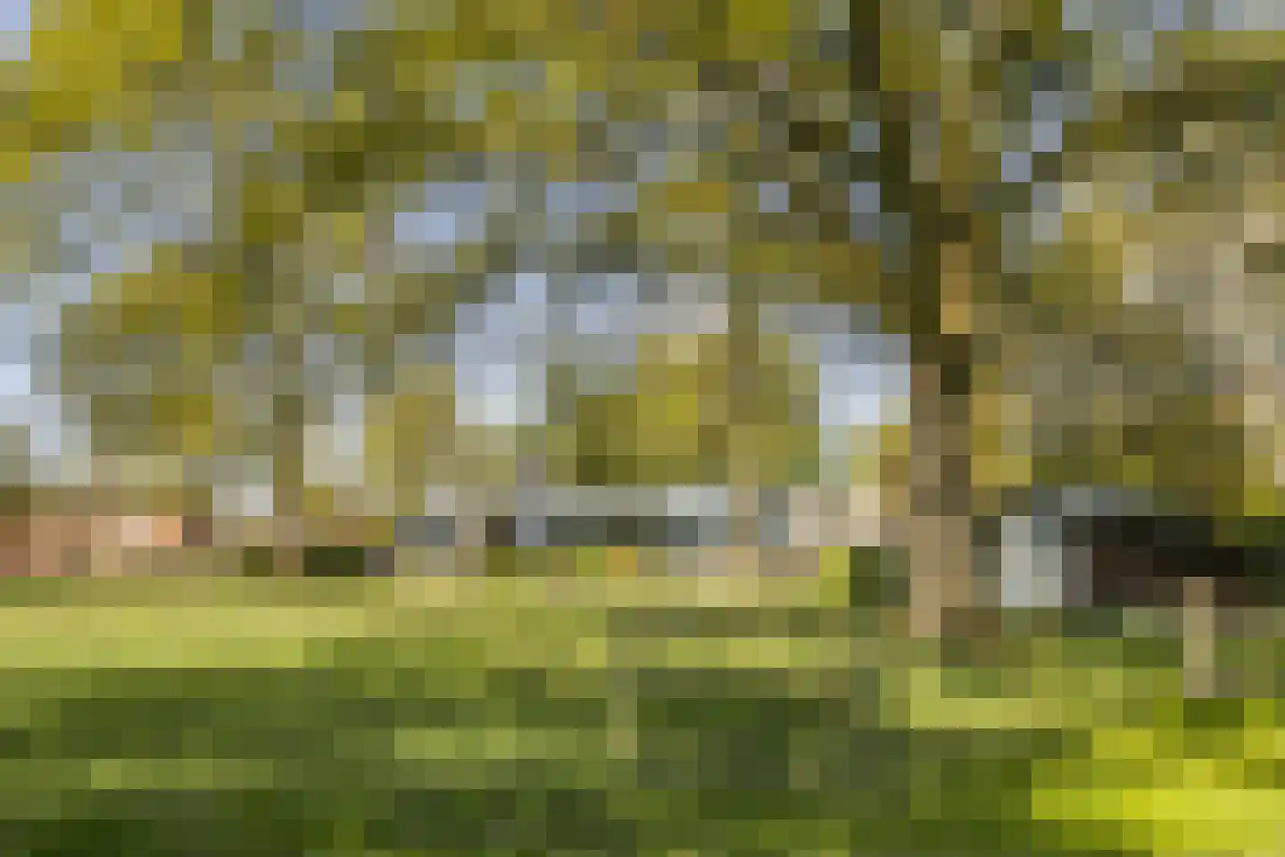 Bosstraat 7 Moergestel thumbnail 42