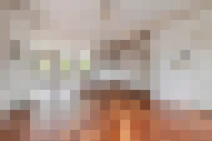 Bosstraat 7 Moergestel thumbnail 43