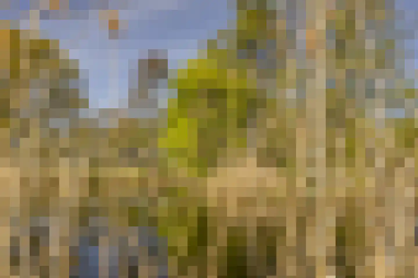 Bosstraat 7 Moergestel thumbnail 43