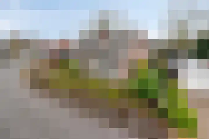 Bosstraat 7 Moergestel thumbnail 44