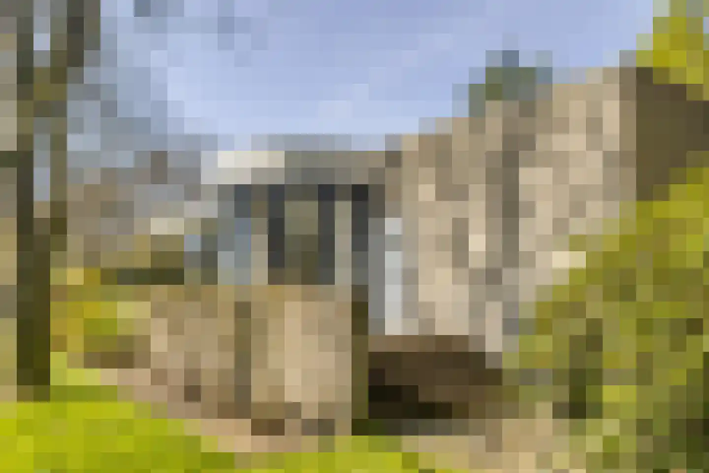 Bosstraat 7 Moergestel thumbnail 46