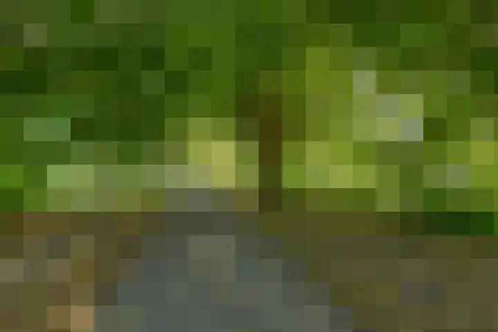Bosstraat 7 Moergestel thumbnail 47