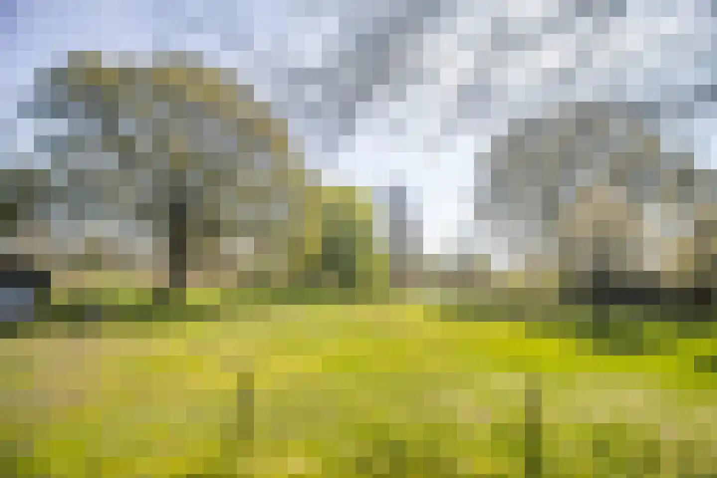 Bosstraat 7 Moergestel thumbnail 47