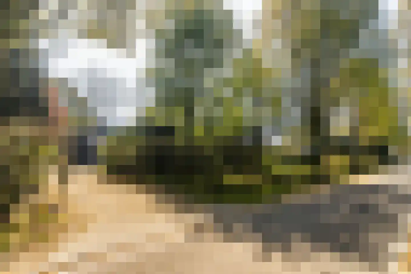 Bosstraat 7 Moergestel thumbnail 51