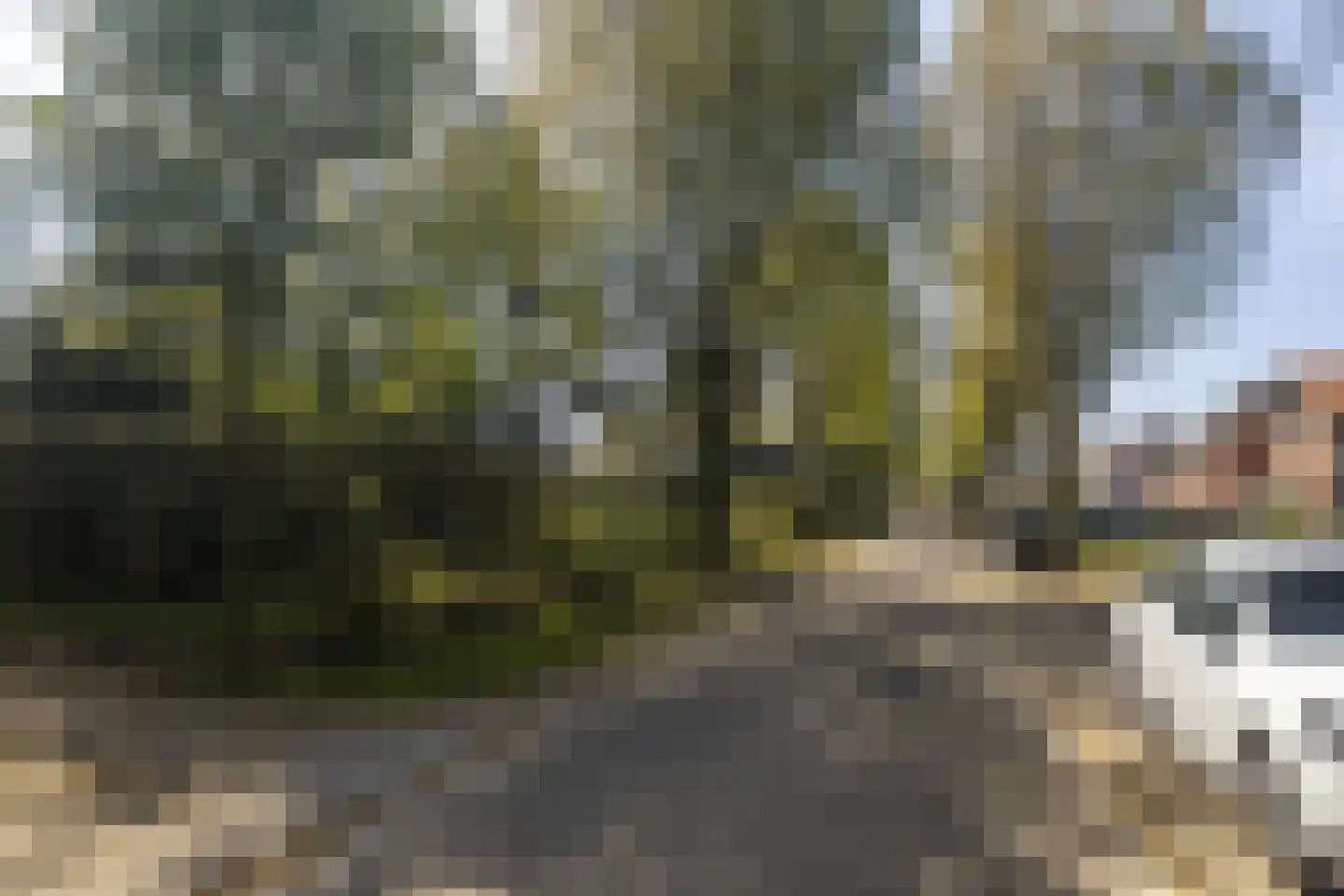 Bosstraat 7 Moergestel thumbnail 52