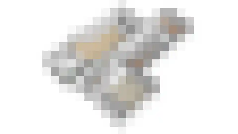 Bosstraat 7 Moergestel thumbnail 54