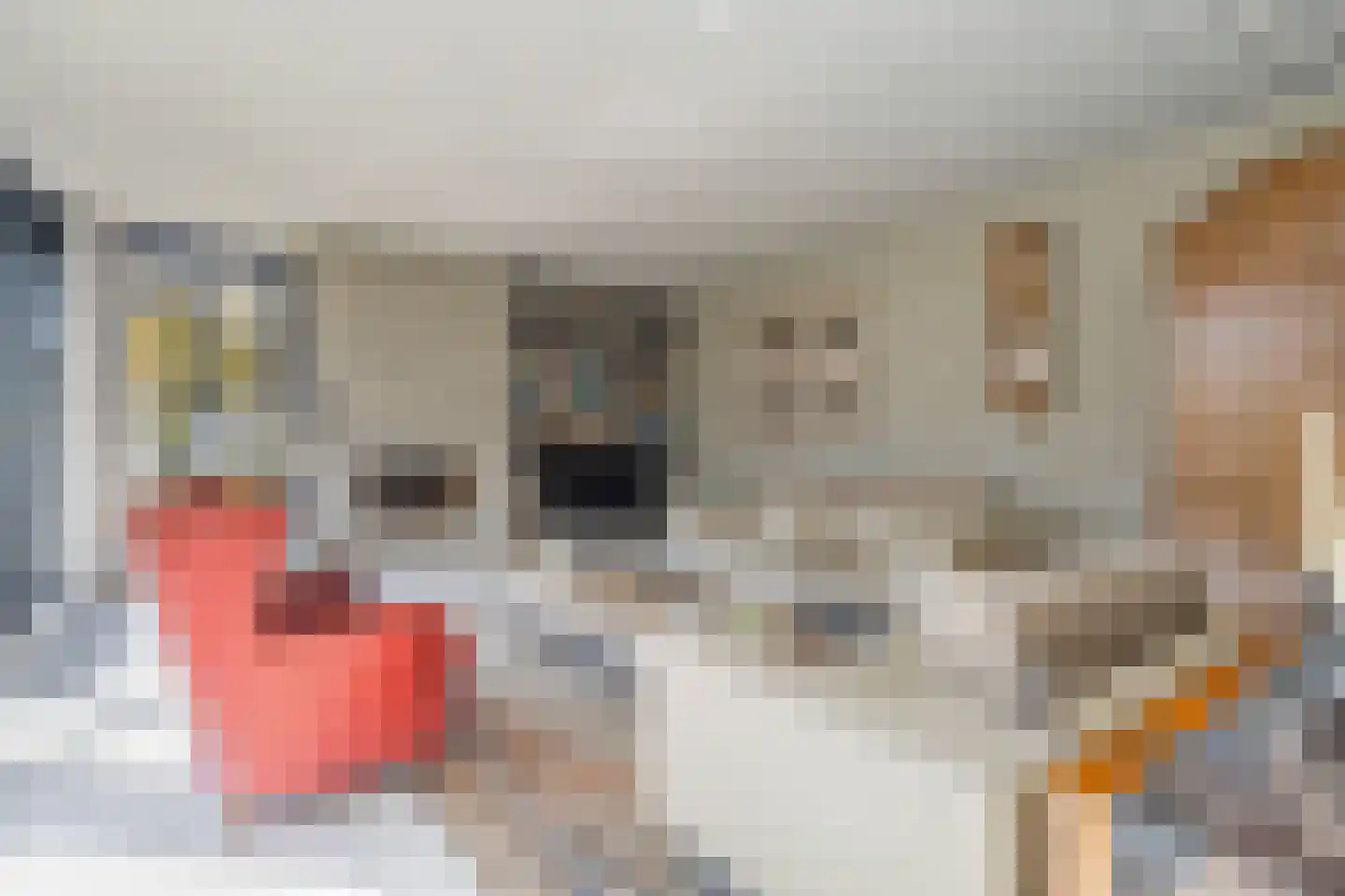 Bosstraat 7 Moergestel thumbnail 7