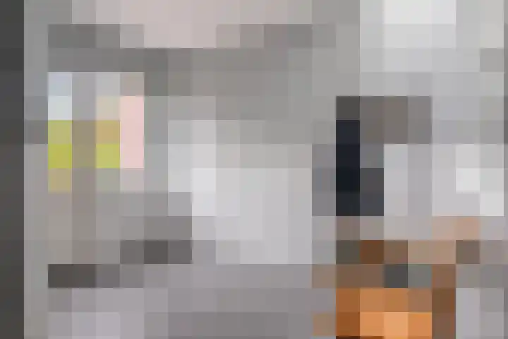 Bosstraat 8 Neeritter thumbnail 16