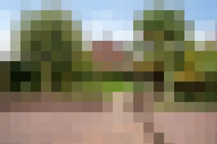 Bosstraat 8 Neeritter thumbnail 26