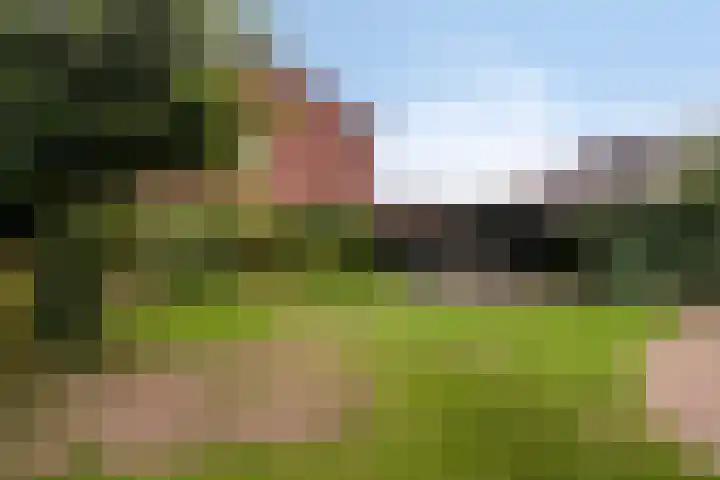 Bosstraat 8 Neeritter thumbnail 30