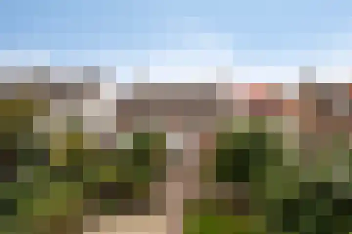 Bosstraat 8 Neeritter thumbnail 33