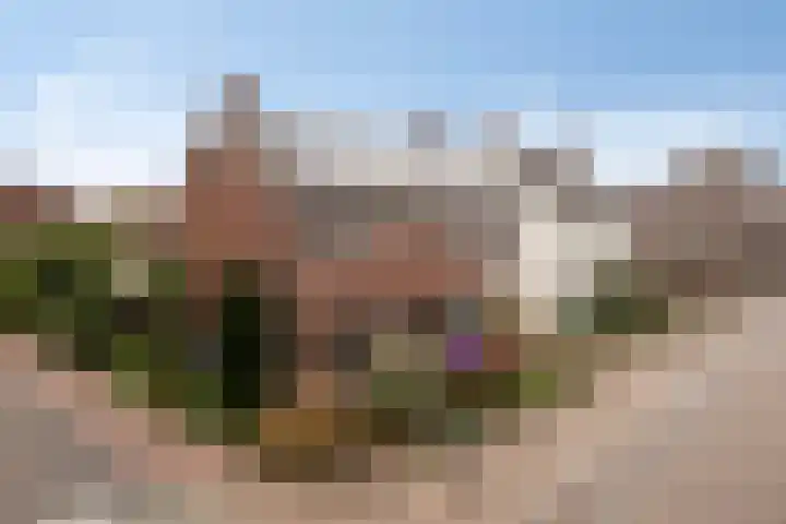 Bosstraat 8 Neeritter thumbnail 36