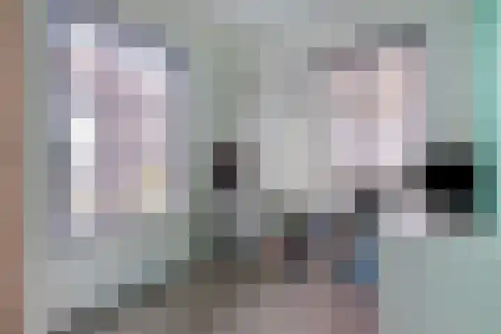 Bosstraat 8 Neeritter thumbnail 6