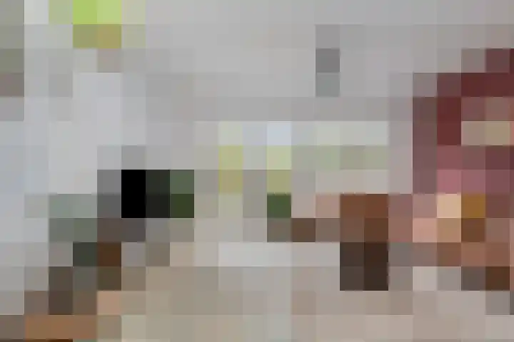 Bosstraat 8 Neeritter thumbnail 8