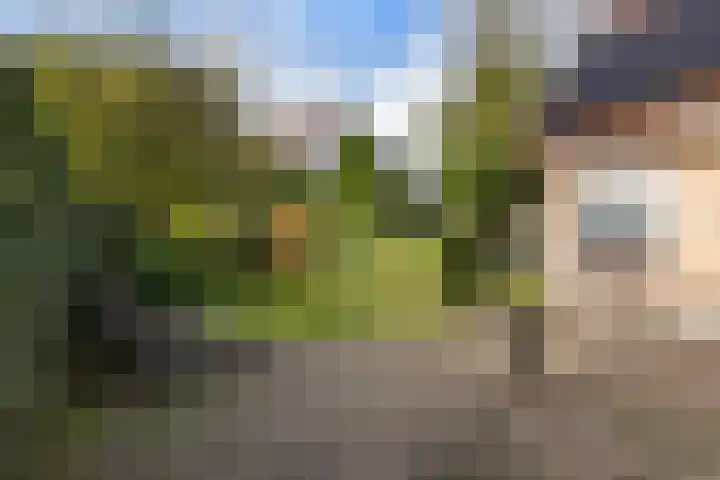 Bostulp 1 Leeuwarden thumbnail 20