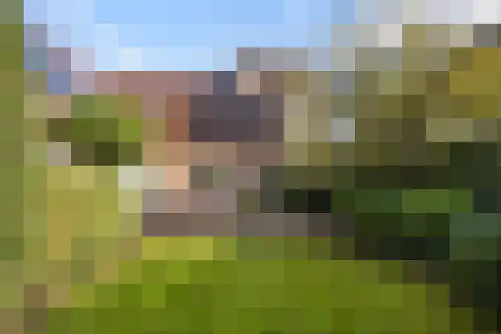 Bostulp 1 Leeuwarden thumbnail 21